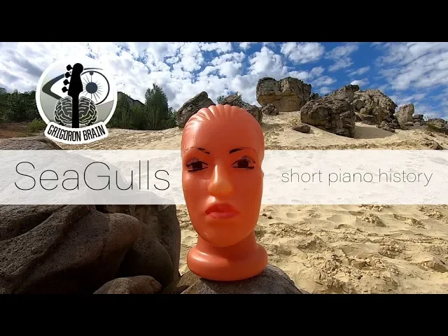 SeaGulls – talkinghead|piano history