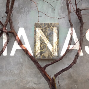 Lianas